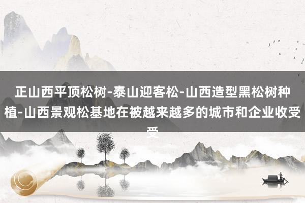 正山西平顶松树-泰山迎客松-山西造型黑松树种植-山西景观松基地在被越来越多的城市和企业收受